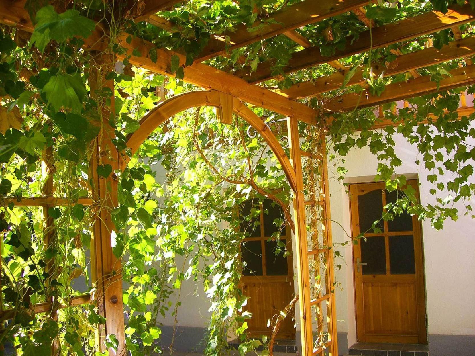 Jahongir Bed and Breakfast Samarkand Exteriör bild