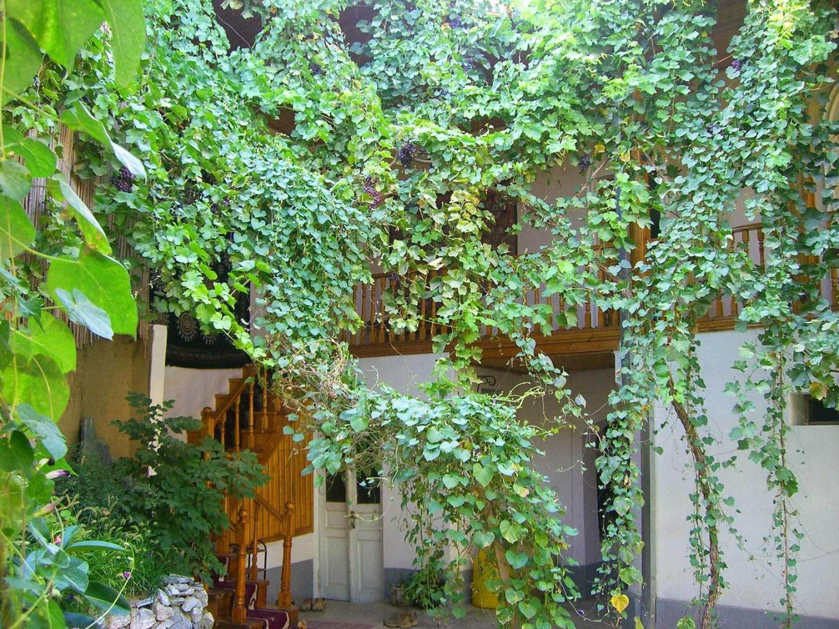 Jahongir Bed and Breakfast Samarkand Exteriör bild