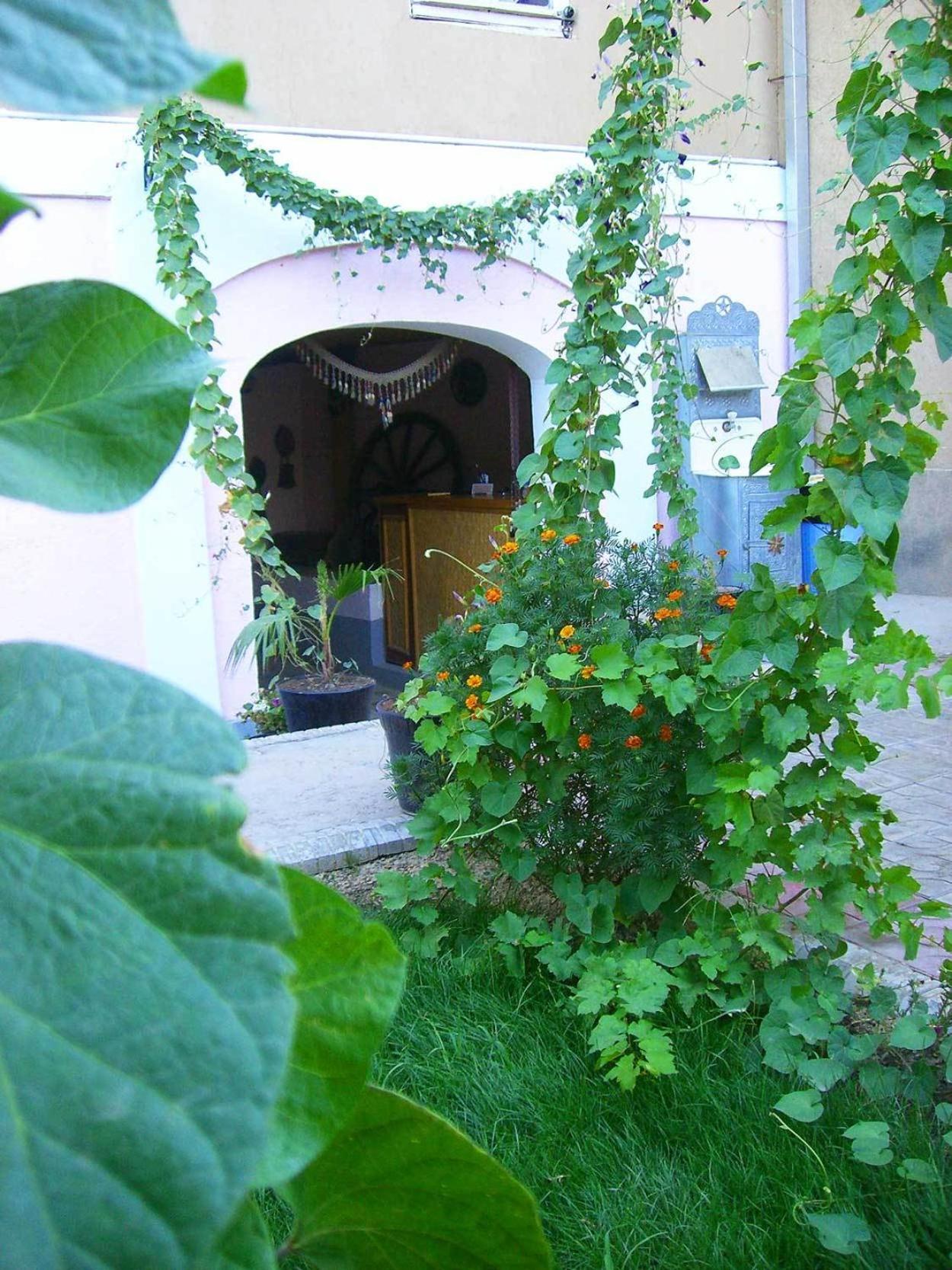 Jahongir Bed and Breakfast Samarkand Exteriör bild