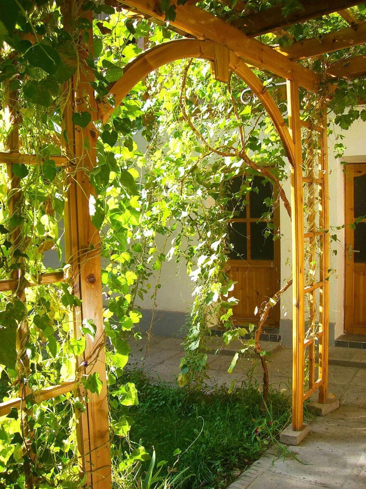 Jahongir Bed and Breakfast Samarkand Exteriör bild