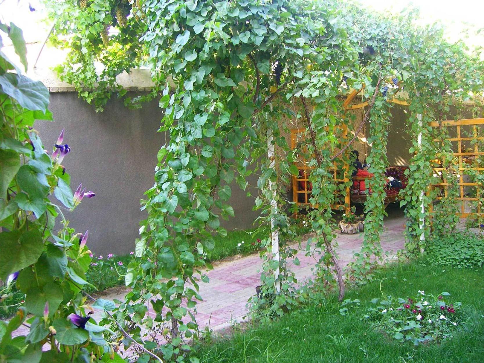 Jahongir Bed and Breakfast Samarkand Exteriör bild