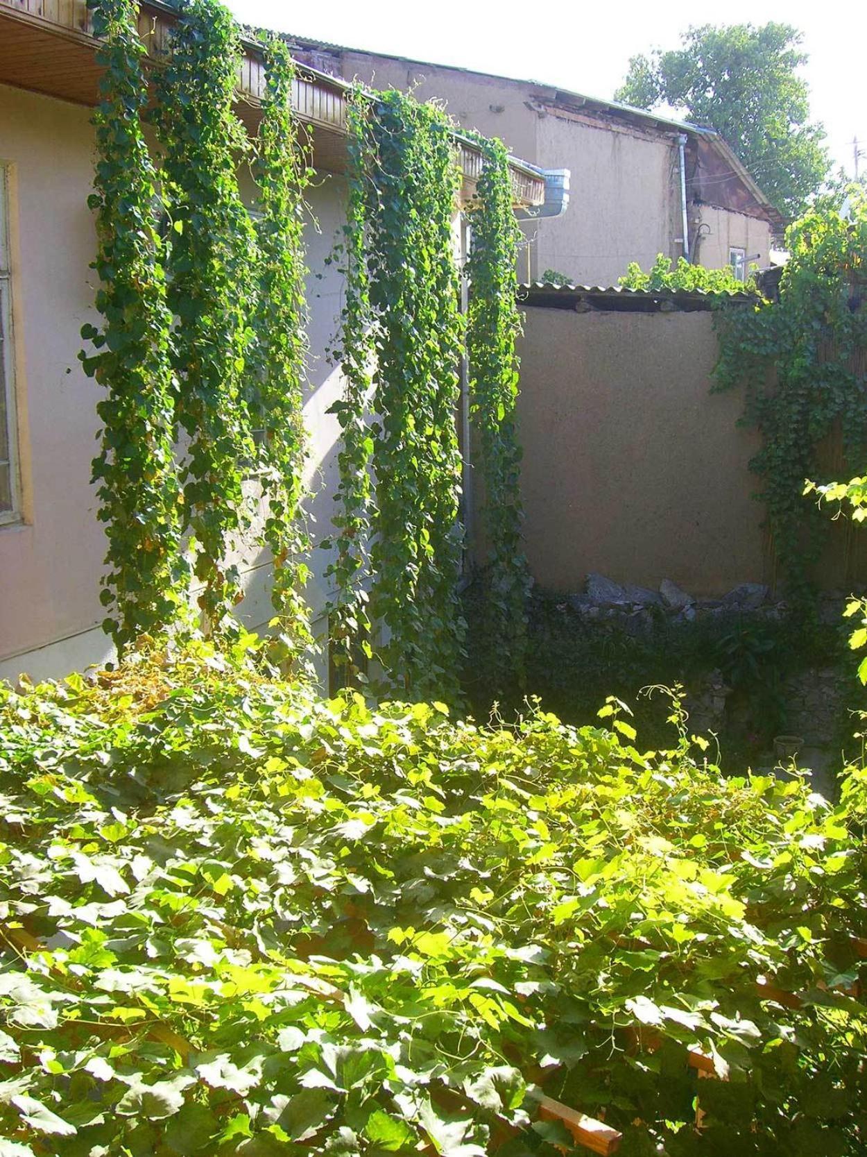 Jahongir Bed and Breakfast Samarkand Exteriör bild