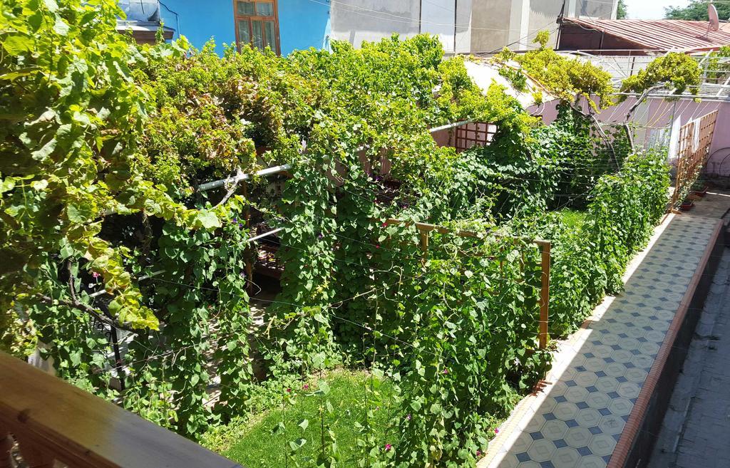 Jahongir Bed and Breakfast Samarkand Exteriör bild