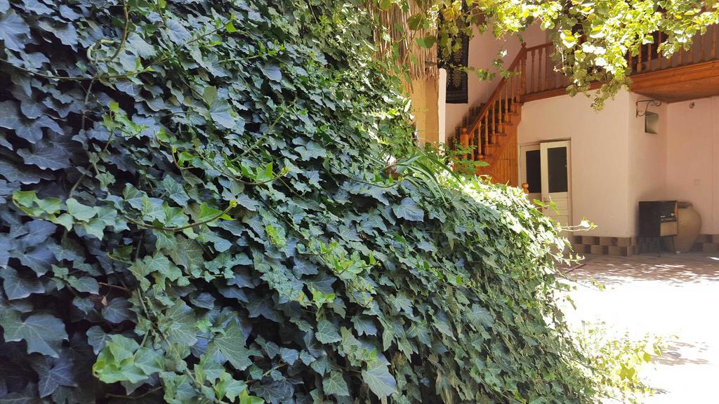 Jahongir Bed and Breakfast Samarkand Exteriör bild