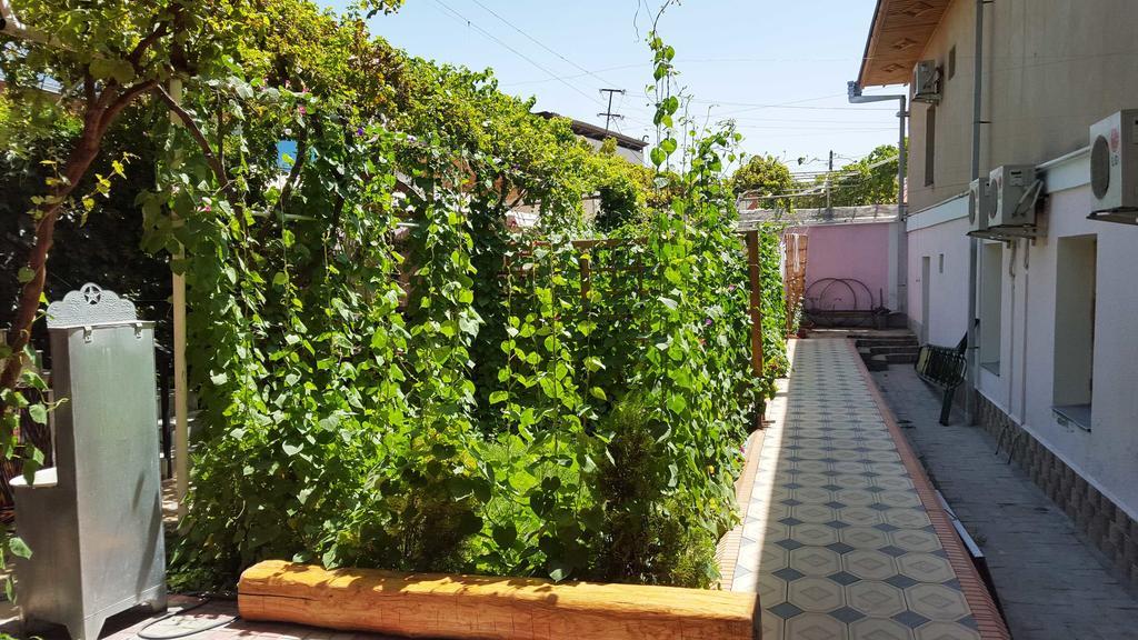 Jahongir Bed and Breakfast Samarkand Exteriör bild