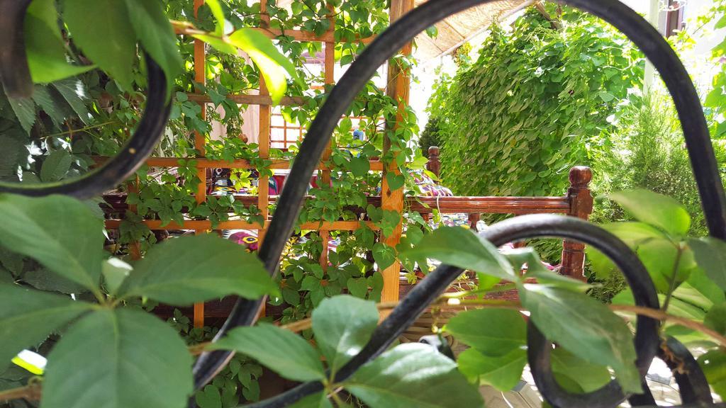 Jahongir Bed and Breakfast Samarkand Exteriör bild